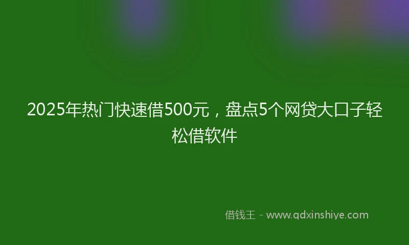 2025年热门快速借500元，盘点5个网贷大口子轻松借软件
