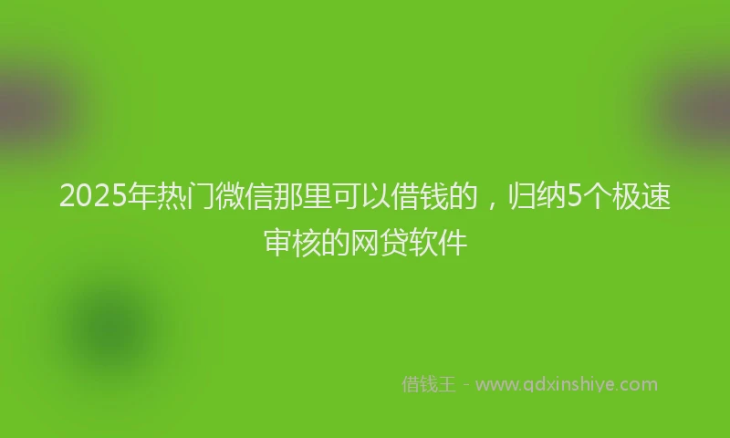 2025年热门微信那里可以借钱的，归纳5个极速审核的网贷软件