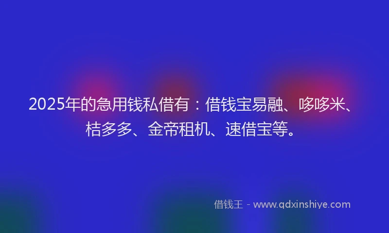 2025年的急用钱私借有：借钱宝易融、哆哆米、桔多多、金帝租机、速借宝等。