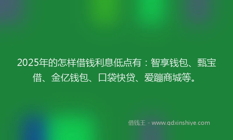 2025年的怎样借钱利息低点有：智享钱包、甄宝借、金亿钱包、口袋快贷、爱蹦商城等。