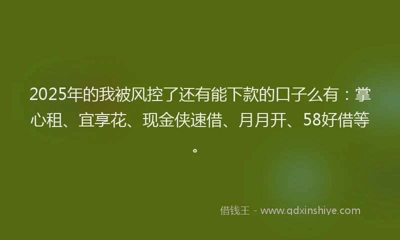 2025年的我被风控了还有能下款的口子么有：掌心租、宜享花、现金侠速借、月月开、58好借等。