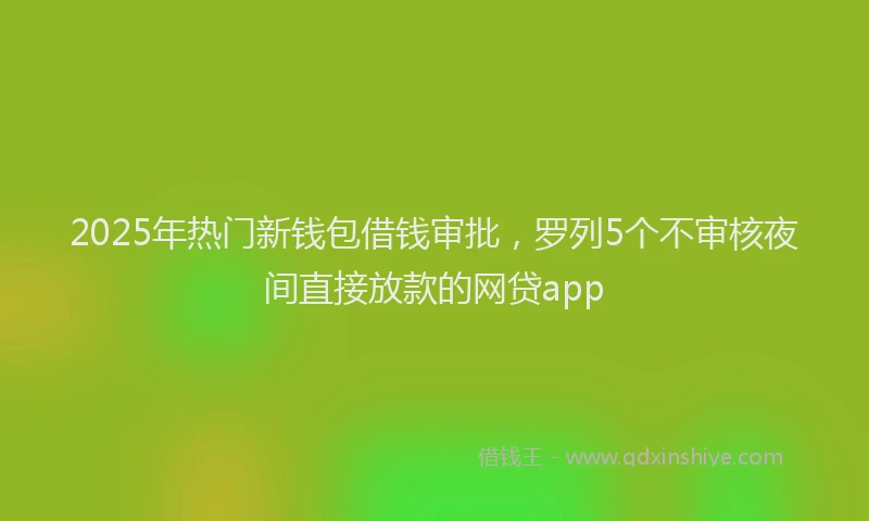 2025年热门新钱包借钱审批，罗列5个不审核夜间直接放款的网贷app