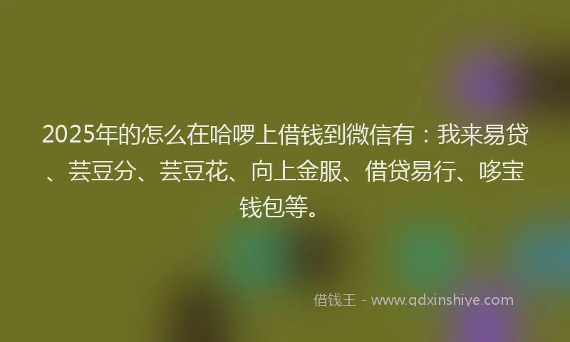 2025年的怎么在哈啰上借钱到微信有：我来易贷、芸豆分、芸豆花、向上金服、借贷易行、哆宝钱包等。