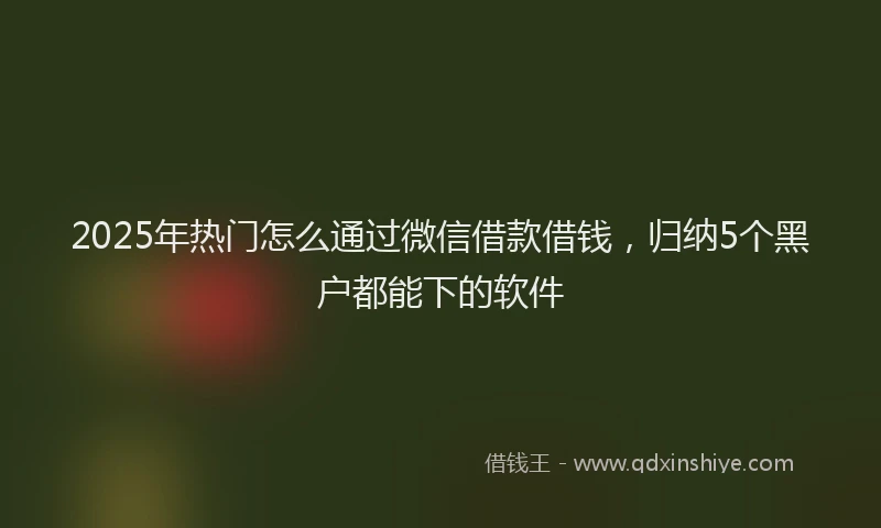 2025年热门怎么通过微信借款借钱，归纳5个黑户都能下的软件