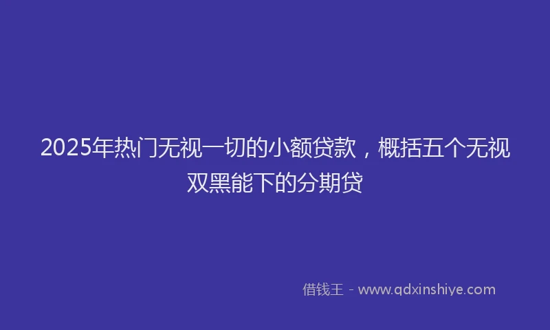 2025年热门无视一切的小额贷款，概括五个无视双黑能下的分期贷