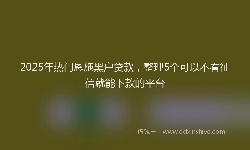 2025年热门恩施黑户贷款，整理5个可以不看征信就能下款的平台