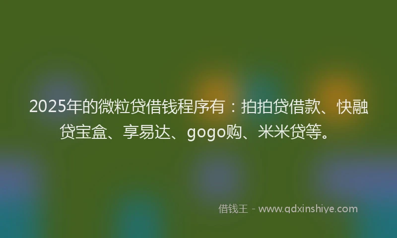 2025年的微粒贷借钱程序有：拍拍贷借款、快融贷宝盒、享易达、gogo购、米米贷等。