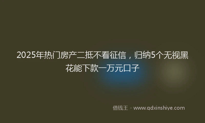 2025年热门房产二抵不看征信，归纳5个无视黑花能下款一万元口子