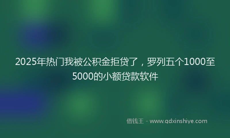 2025年热门我被公积金拒贷了，罗列五个1000至5000的小额贷款软件
