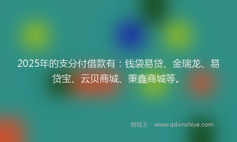 2025年的支分付借款有：钱袋易贷、金瑞龙、易贷宝、云贝商城、秉鑫商城等。