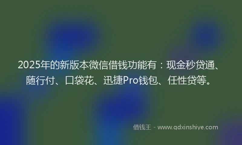 2025年的新版本微信借钱功能有：现金秒贷通、随行付、口袋花、迅捷Pro钱包、任性贷等。