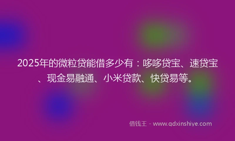 2025年的微粒贷能借多少有：哆哆贷宝、速贷宝、现金易融通、小米贷款、快贷易等。