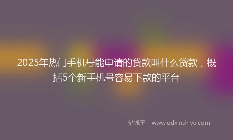 2025年热门手机号能申请的贷款叫什么贷款，概括5个新手机号容易下款的平台