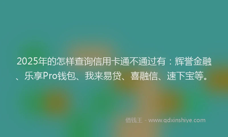 2025年的怎样查询信用卡通不通过有：辉誉金融、乐享Pro钱包、我来易贷、喜融信、速下宝等。