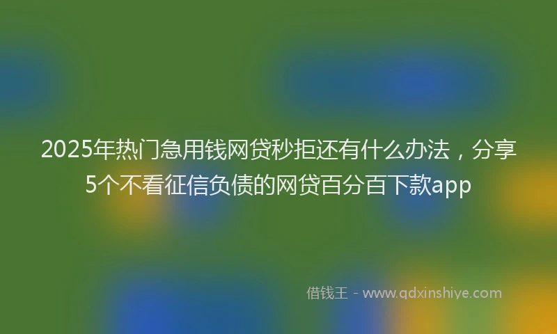 2025年热门急用钱网贷秒拒还有什么办法，分享5个不看征信负债的网贷百分百下款app