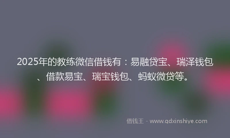 2025年的教练微信借钱有：易融贷宝、瑞泽钱包、借款易宝、瑞宝钱包、蚂蚁微贷等。