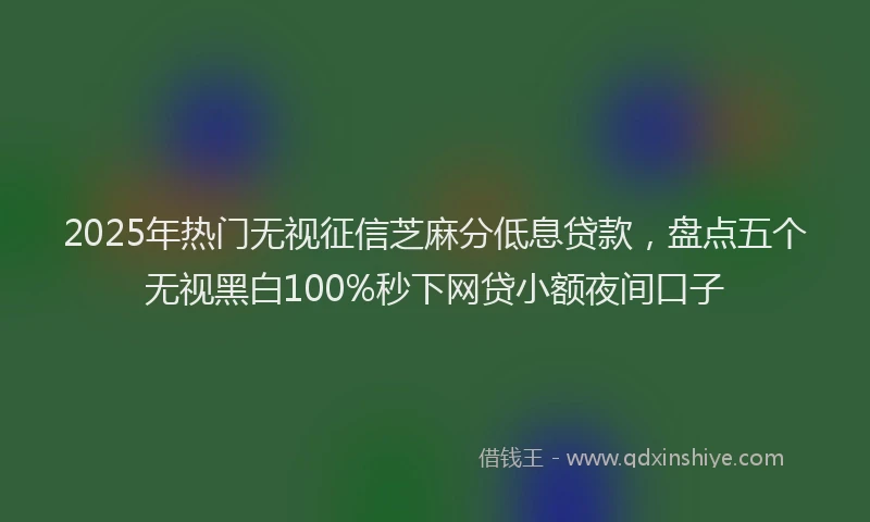 2025年热门无视征信芝麻分低息贷款，盘点五个无视黑白100%秒下网贷小额夜间口子