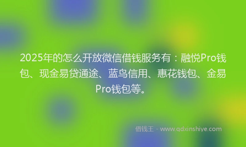 2025年的怎么开放微信借钱服务有：融悦Pro钱包、现金易贷通途、蓝鸟信用、惠花钱包、金易Pro钱包等。