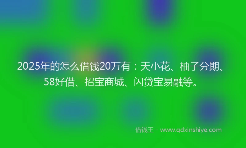 2025年的怎么借钱20万有：天小花、柚子分期、58好借、招宝商城、闪贷宝易融等。