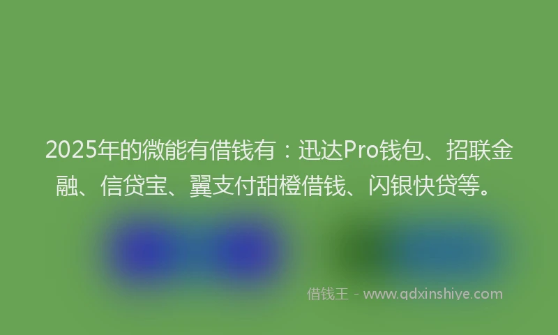 2025年的微能有借钱有：迅达Pro钱包、招联金融、信贷宝、翼支付甜橙借钱、闪银快贷等。