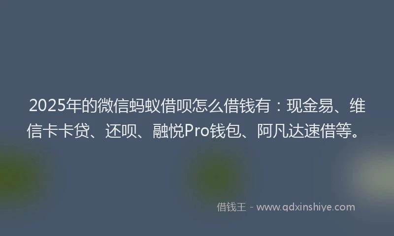 2025年的微信蚂蚁借呗怎么借钱有：现金易、维信卡卡贷、还呗、融悦Pro钱包、阿凡达速借等。