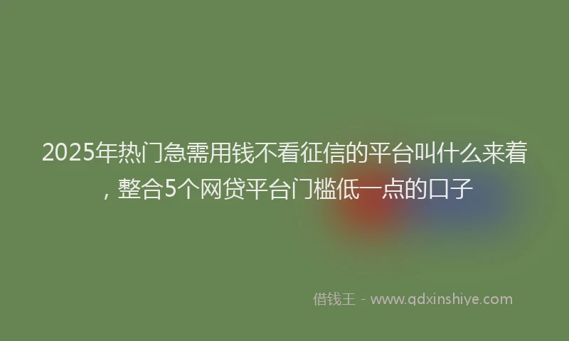 2025年热门急需用钱不看征信的平台叫什么来着，整合5个网贷平台门槛低一点的口子