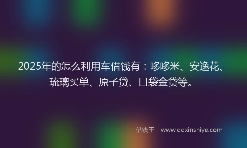 2025年的怎么利用车借钱有：哆哆米、安逸花、琉璃买单、原子贷、口袋金贷等。