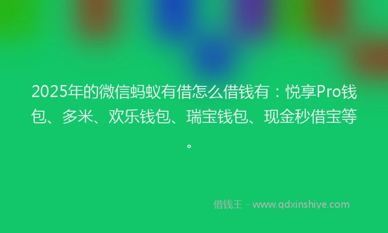 2025年的微信蚂蚁有借怎么借钱有：悦享Pro钱包、多米、欢乐钱包、瑞宝钱包、现金秒借宝等。