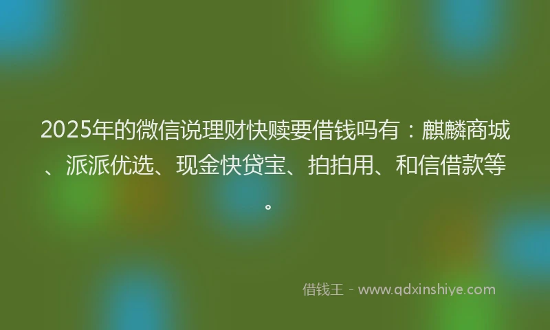 2025年的微信说理财快赎要借钱吗有：麒麟商城、派派优选、现金快贷宝、拍拍用、和信借款等。