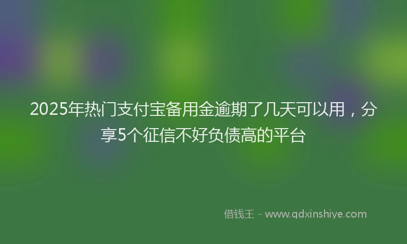 2025年热门支付宝备用金逾期了几天可以用，分享5个征信不好负债高的平台