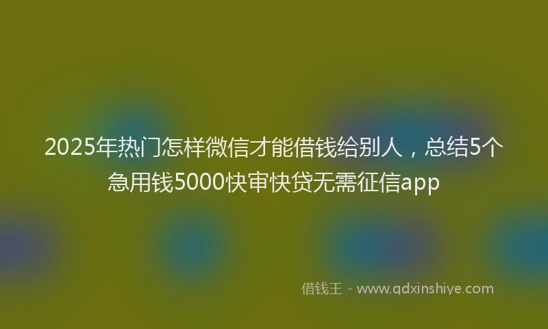 2025年热门怎样微信才能借钱给别人，总结5个急用钱5000快审快贷无需征信app