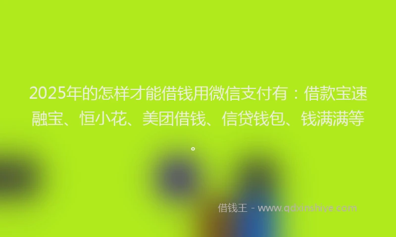 2025年的怎样才能借钱用微信支付有：借款宝速融宝、恒小花、美团借钱、信贷钱包、钱满满等。