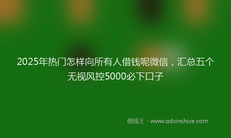 2025年热门怎样向所有人借钱呢微信，汇总五个无视风控5000必下口子