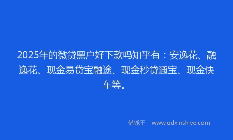 2025年的微贷黑户好下款吗知乎有：安逸花、融逸花、现金易贷宝融途、现金秒贷通宝、现金快车等。