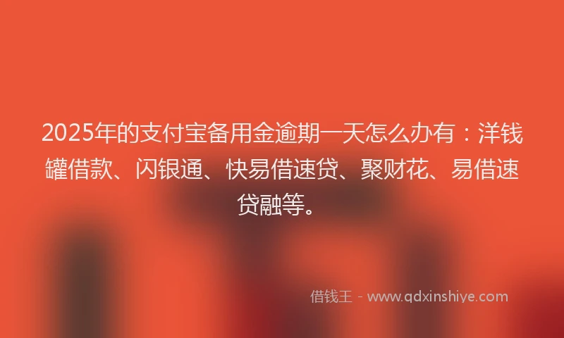 2025年的支付宝备用金逾期一天怎么办有：洋钱罐借款、闪银通、快易借速贷、聚财花、易借速贷融等。