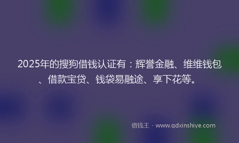 2025年的搜狗借钱认证有：辉誉金融、维维钱包、借款宝贷、钱袋易融途、享下花等。