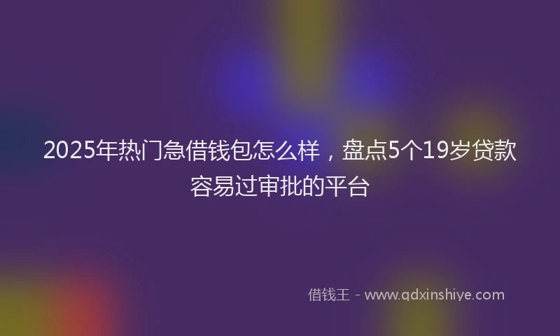 2025年热门急借钱包怎么样，盘点5个19岁贷款容易过审批的平台