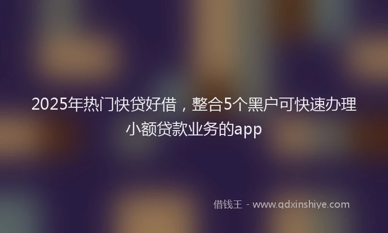 2025年热门快贷好借，整合5个黑户可快速办理小额贷款业务的app