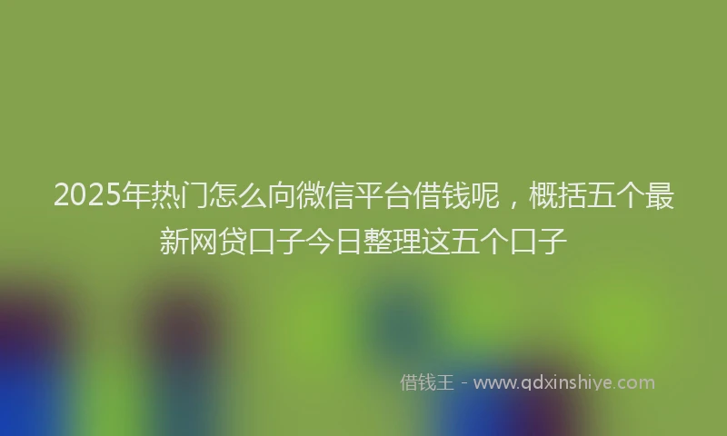 2025年热门怎么向微信平台借钱呢，概括五个最新网贷口子今日整理这五个口子
