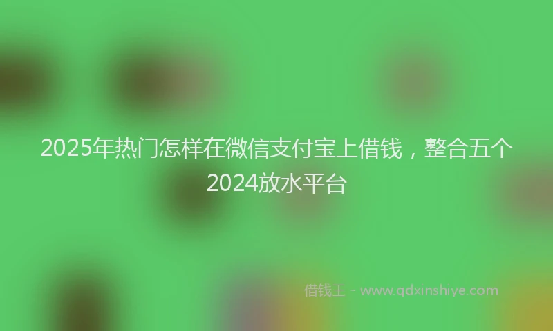 2025年热门怎样在微信支付宝上借钱，整合五个2024放水平台