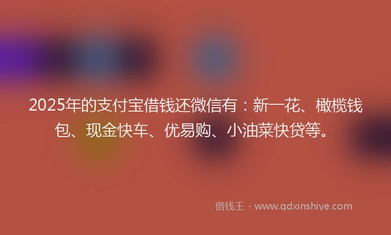 2025年的支付宝借钱还微信有：新一花、橄榄钱包、现金快车、优易购、小油菜快贷等。