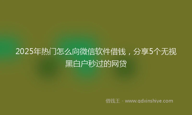 2025年热门怎么向微信软件借钱，分享5个无视黑白户秒过的网贷