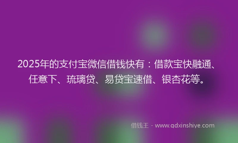 2025年的支付宝微信借钱快有：借款宝快融通、任意下、琉璃贷、易贷宝速借、银杏花等。