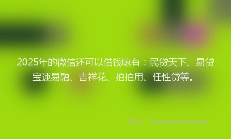 2025年的微信还可以借钱嘛有：民贷天下、易贷宝速易融、吉祥花、拍拍用、任性贷等。