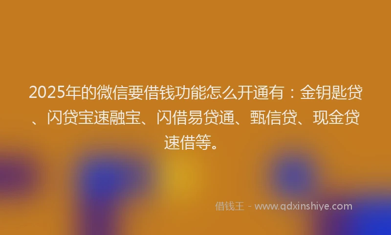 2025年的微信要借钱功能怎么开通有：金钥匙贷、闪贷宝速融宝、闪借易贷通、甄信贷、现金贷速借等。