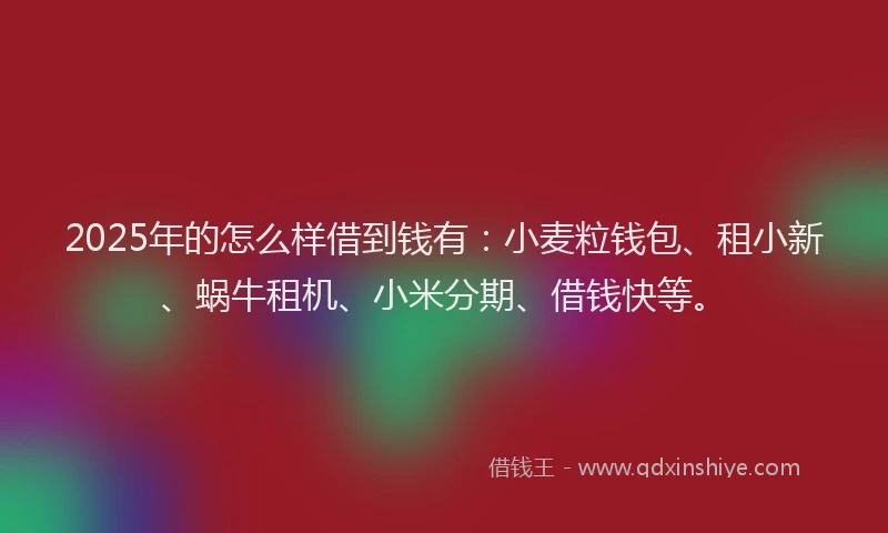 2025年的怎么样借到钱有：小麦粒钱包、租小新、蜗牛租机、小米分期、借钱快等。