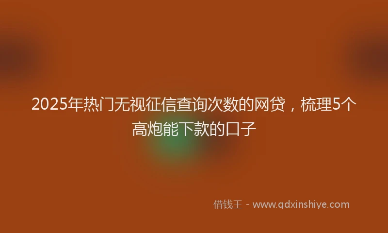 2025年热门无视征信查询次数的网贷，梳理5个高炮能下款的口子