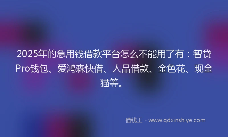 2025年的急用钱借款平台怎么不能用了有：智贷Pro钱包、爱鸿森快借、人品借款、金色花、现金猫等。