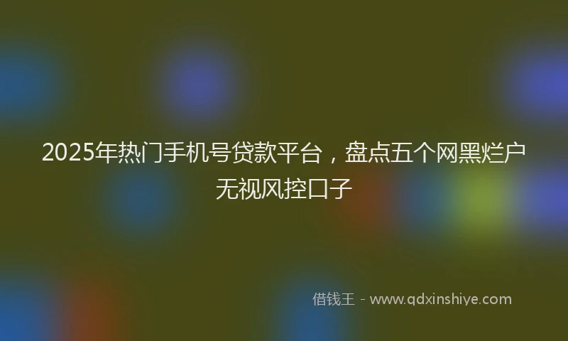 2025年热门手机号贷款平台，盘点五个网黑烂户无视风控口子