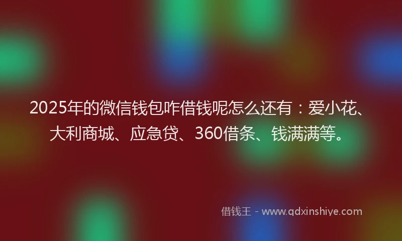 2025年的微信钱包咋借钱呢怎么还有：爱小花、大利商城、应急贷、360借条、钱满满等。